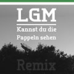 LGM - Kannst du die Pappeln sehen - Remix (prod. by LGMbeatZ)