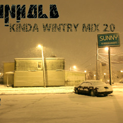 Reinhold's Kinda Wintry Mix 2.0