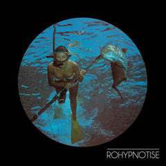Rohypnotise - Fade To Grey