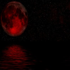 SHUT EM DOWN FREESTYLE