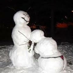 Steve And The Gay Snowmen