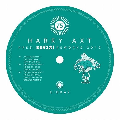 Yves Deruyter - Calling Earth - Harry Axt Remix 2012
