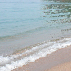 浜辺の歌 / 菅原やすのり