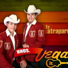 nuevo leon