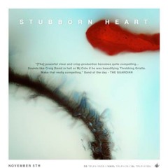 Stubborn Heart - Remixes
