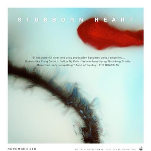 Stubborn Heart - Remixes