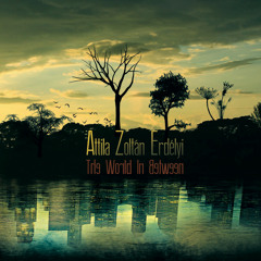 The World In Between 2012 Preview