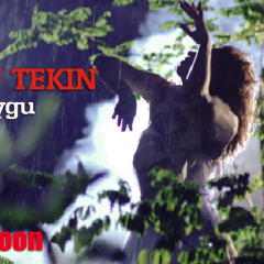 Arzu Tekin - Demo Ilk Duygu [192]