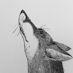 fade away ('a lone cloudburst' LP preview) - collab with sink \ sink