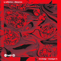Knxwledge "krayzi[guil_T]"