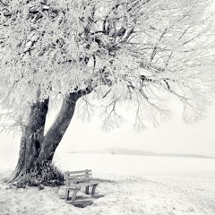 KaNa - Flower Of Snow (Shingo Nakamura Remix)