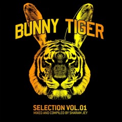 Sharam Jey & Teenage Mutants - In your arms (Preview) Out Dec 10th!