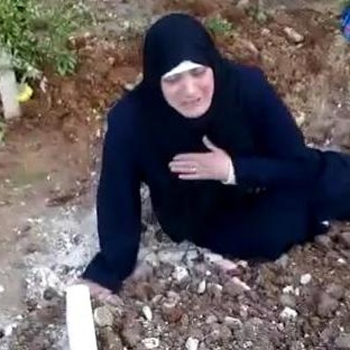 دودو