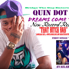 THAT BITCH BAD - QUIN DOT C