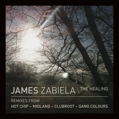 James Zabiela "Healing (Hot Chip Remix)"