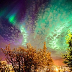 Anticipation Of An Eerie Celebration