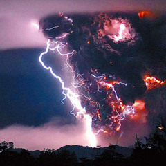 Psyanide Psynes from Psy-Gone