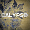The&#x20;Traps Calypso Artwork