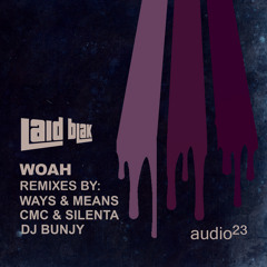 LAID BLAK-WOAH (CMC&Silenta Remix) snippet