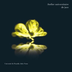 Entrave-Henri Texier