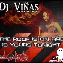 BFL REC. 009 Dj Viñas - The Roof Is On Fire//Is Yours Tonight (OUT SOON)