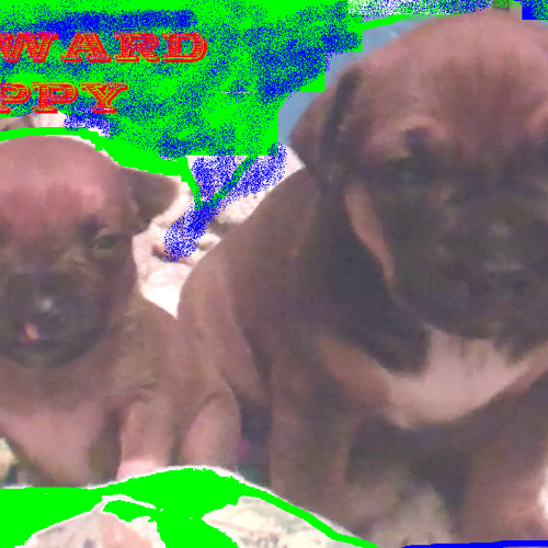 Awkward puppy (jmfb)