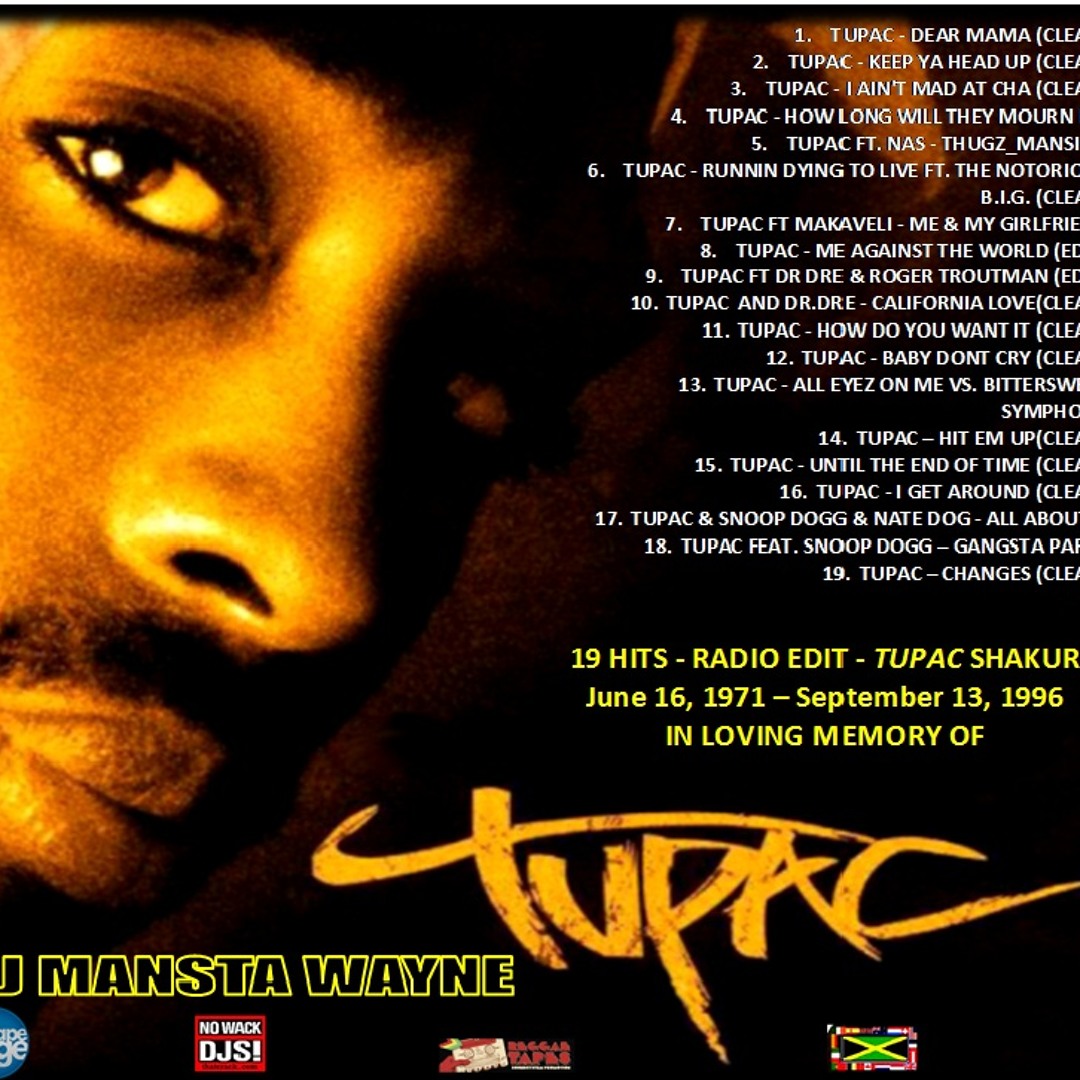 2PAC i ain't mad at cha レコード 2PAC / I Ain't Mad At Cha (LP) / | WAXPEND RECORDS