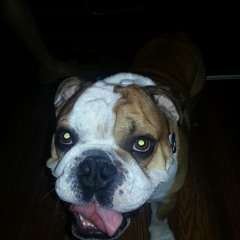 Oh My God - A Tribe Called Quest(remix)