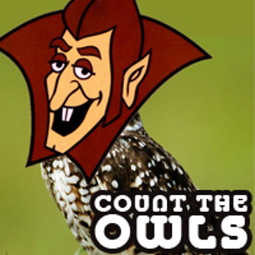 Count The Owls