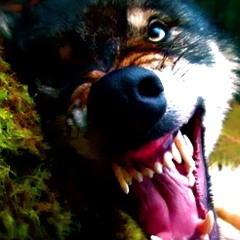 Get Em! (Bonus Track)