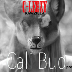 Cali Bud (Prod. XXYYXX)