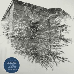 Diosque - Melancolía del Futuro (Modex Remix)