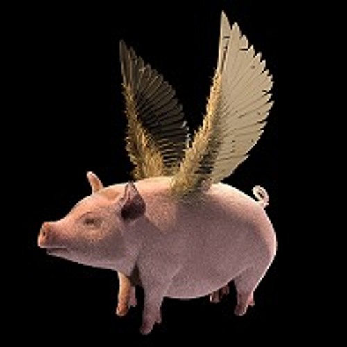 Летающие свинки картинки. Свинья из дети шпионов 2. Свинья с крыльями. Летающая свинья. Кабан с крыльями.