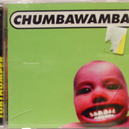 Tubthumper ChumpaWumba Cover