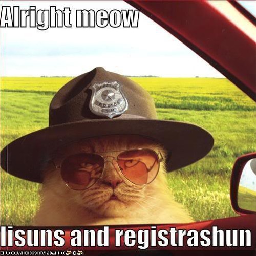 You need to listen to this right meow