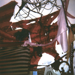 Nero's Day At Disneyland - Talons and Stucco