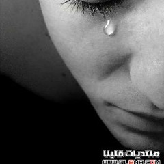 فـــــى ربيع الحــــب