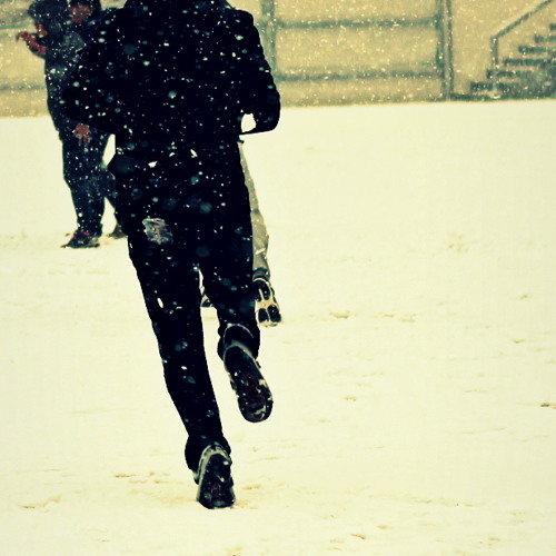 Cause I'm only birds and  bees - Parra for Cuva  .Set