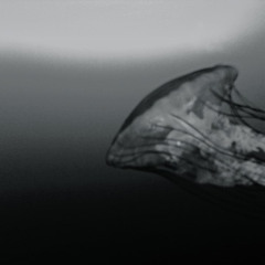 December 12 PromoMix