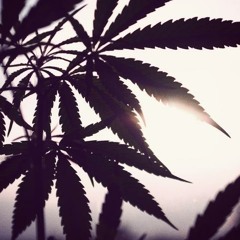 Eres tu mi luz - deelabraman a.k.a dirty dee feat creasion