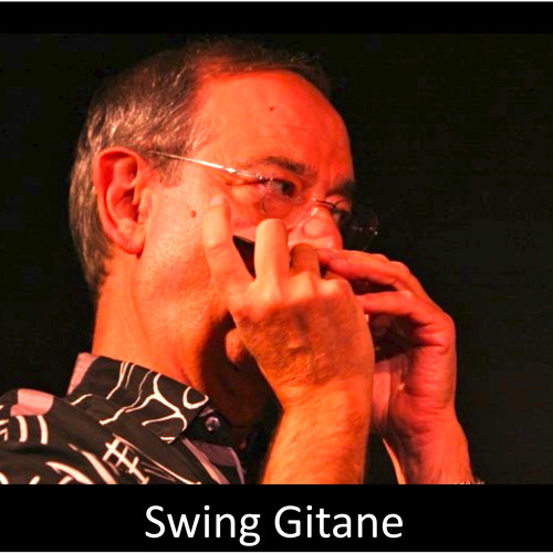 Swing Gitane