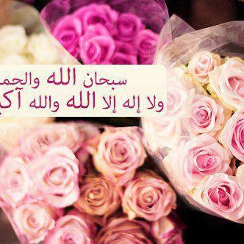 الشيخ رسلان - رفقاً بالقوارير مقعطع ماتع ورائع