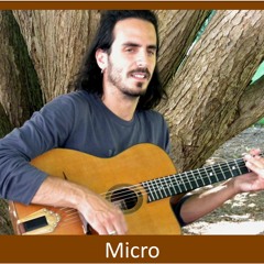 Micro
