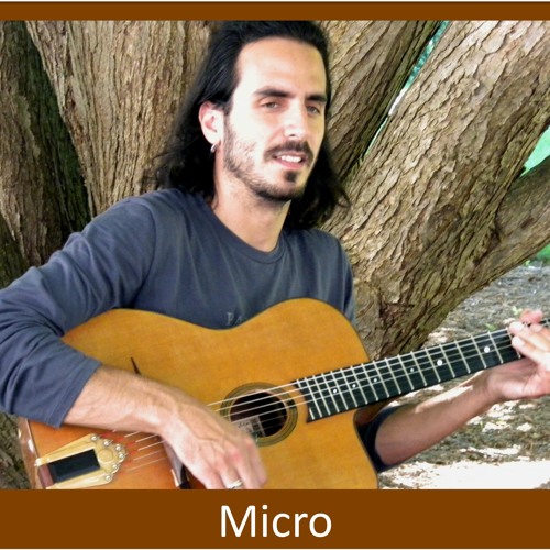 Micro