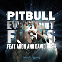 Pitbull Ft. Akon - Everybody Fucks (DJ Kay Extended)***download link in description***