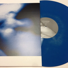 Bad Evolution 12" Single [remix] by Chasms