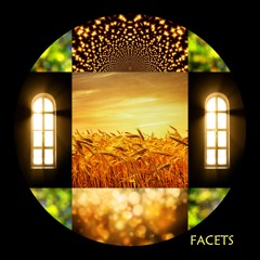 Facets - A Poem by Joanne Young Elliot as performed by Carrie Armitage