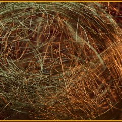 Digital Love EP Unofficial