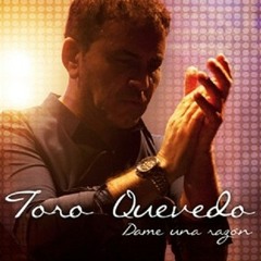 TORO QUEVEDO - Persiana americana