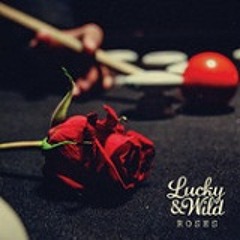 Lucky & Wild - Roses (Bryan Walker Remix)